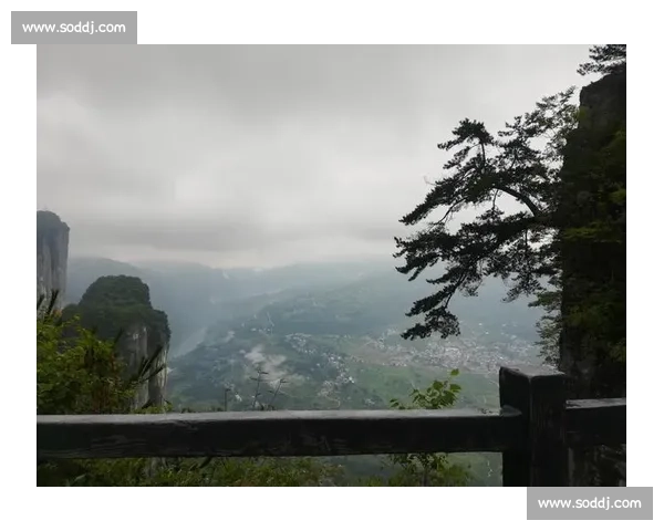 20 亿关注破圈记:恩施 IP 的山水与流量密码 20 亿关注破圈记:恩施 IP 的山水与流量密码