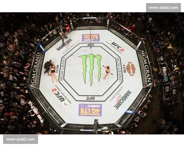 UFC 拉斯维加斯 108 八角笼直击:平良达郎裸绞终结韩将,赛后坦言冲击冠军之路 UFC 拉斯维加斯 108 八角笼直击:平良达郎裸绞终结韩将,赛后坦言冲击冠军之路